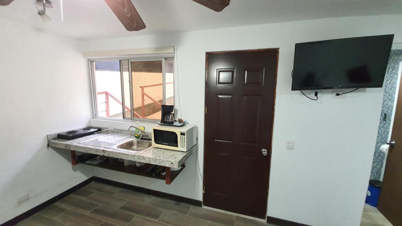 Studio with Garden View,1028010910:JPEG