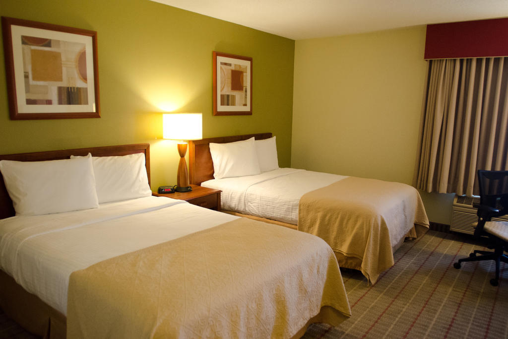 Queen Room with Two Queen Beds - Non-Smoking,888094960:JPEG