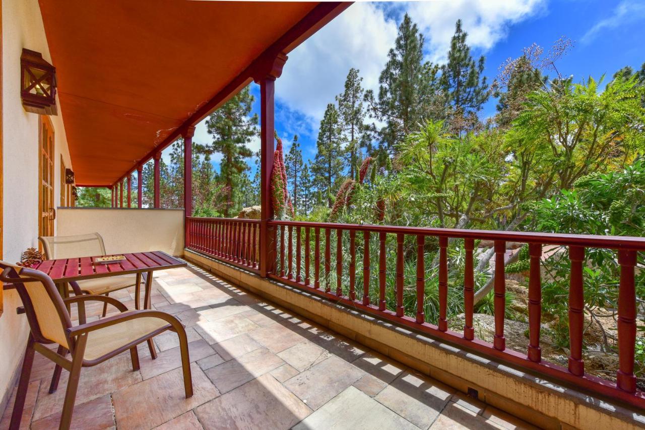 Suite Junior con vistas al jardín