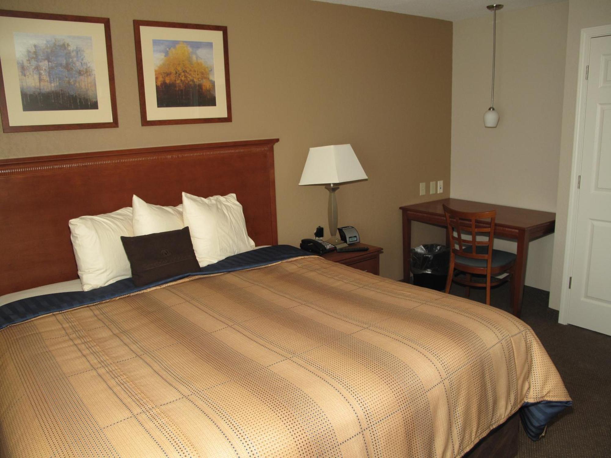 King Studio Suite,1284313858:JPEG