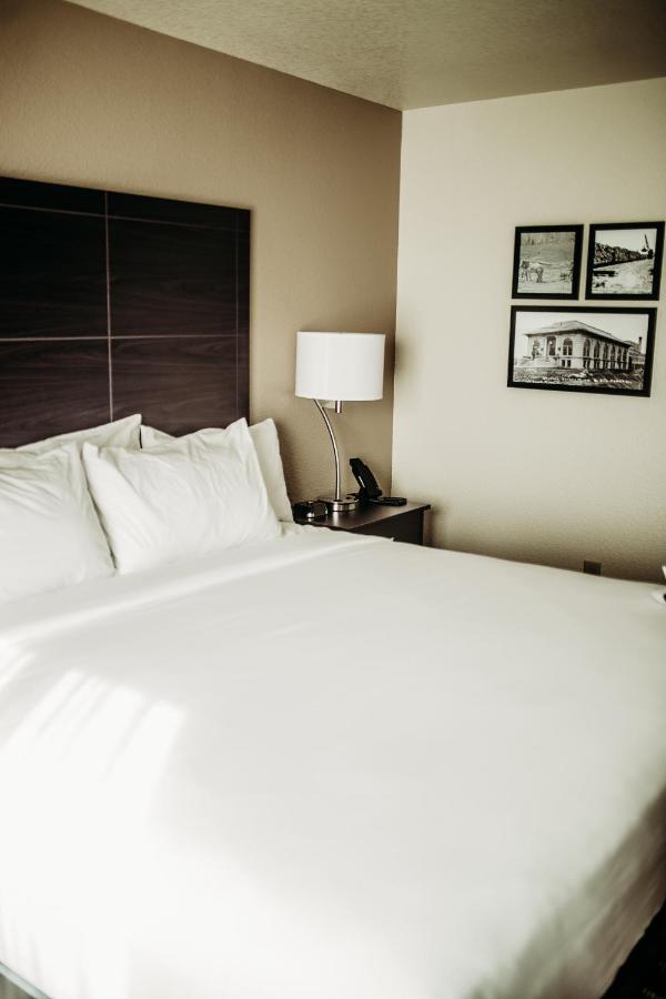 King Room - Disability Access,1323179629:JPEG