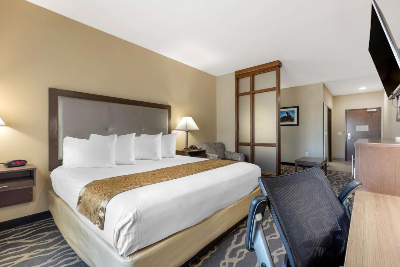 King Suite with Sofa Bed - Disability Access/Non-Smoking,1330472627:JPEG