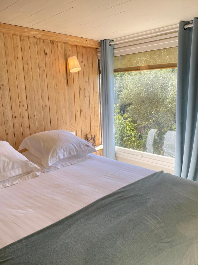 King Room Garden View