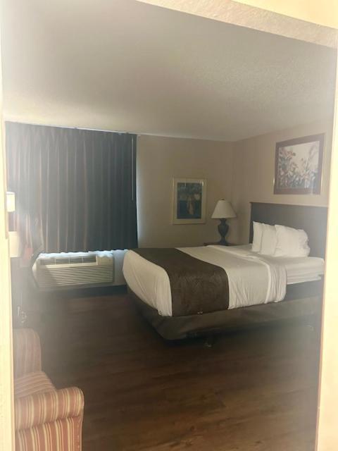 Queen Room - Disability Access - Non-Smoking,1522143715:JPEG