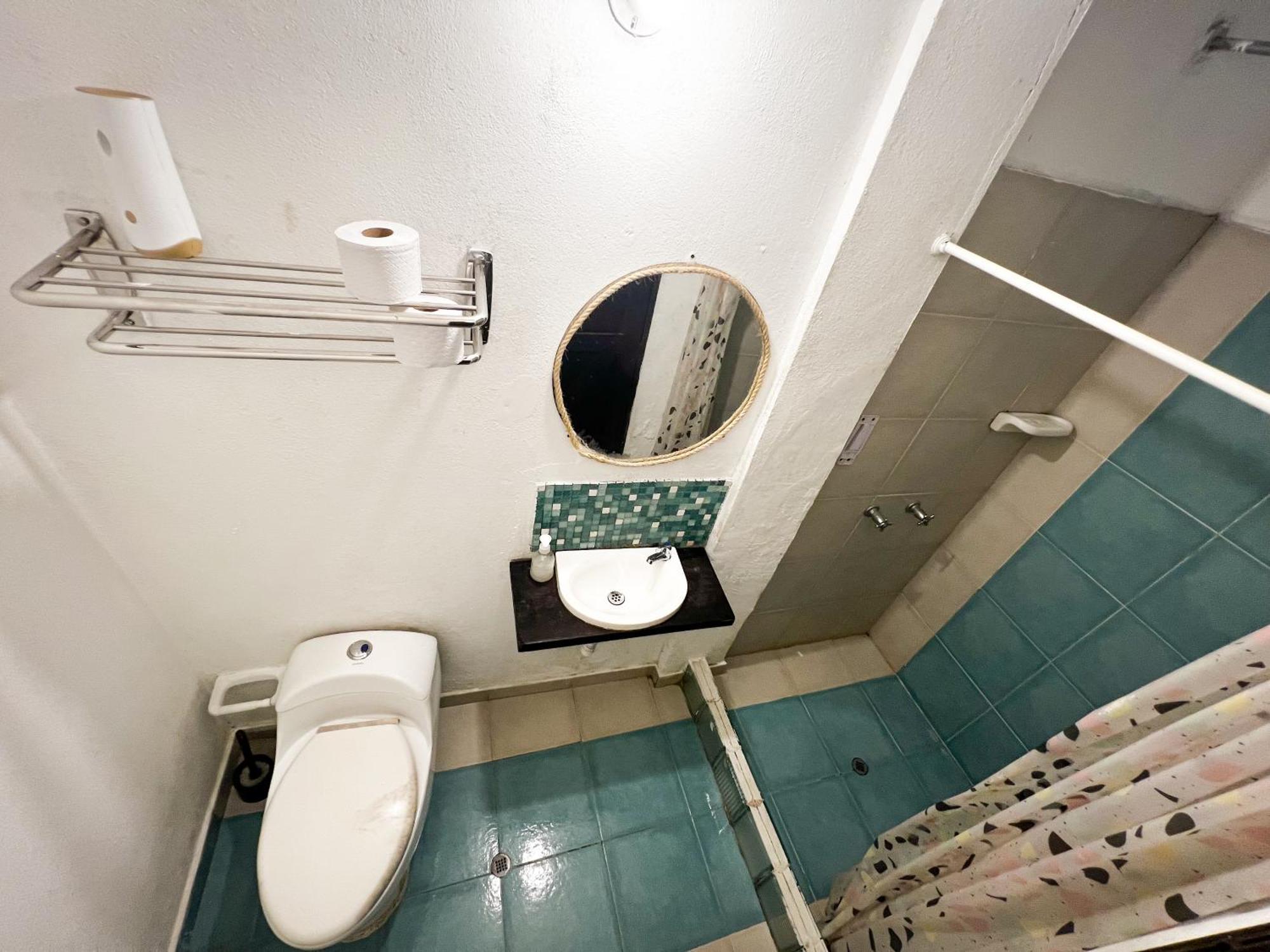 Single Bed in Mixed Dormitory Room