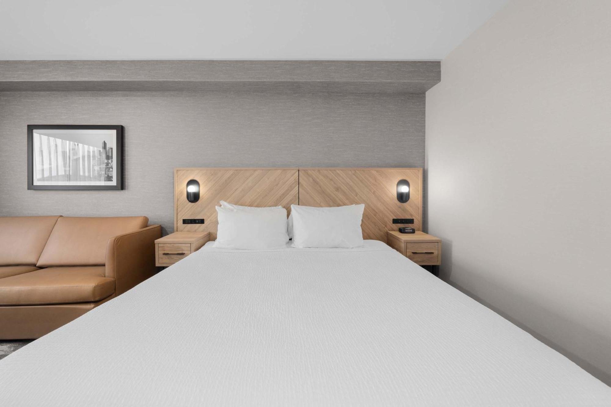 Standard Room, 1 King Bed, Sofa Bed,1627932524:JPEG