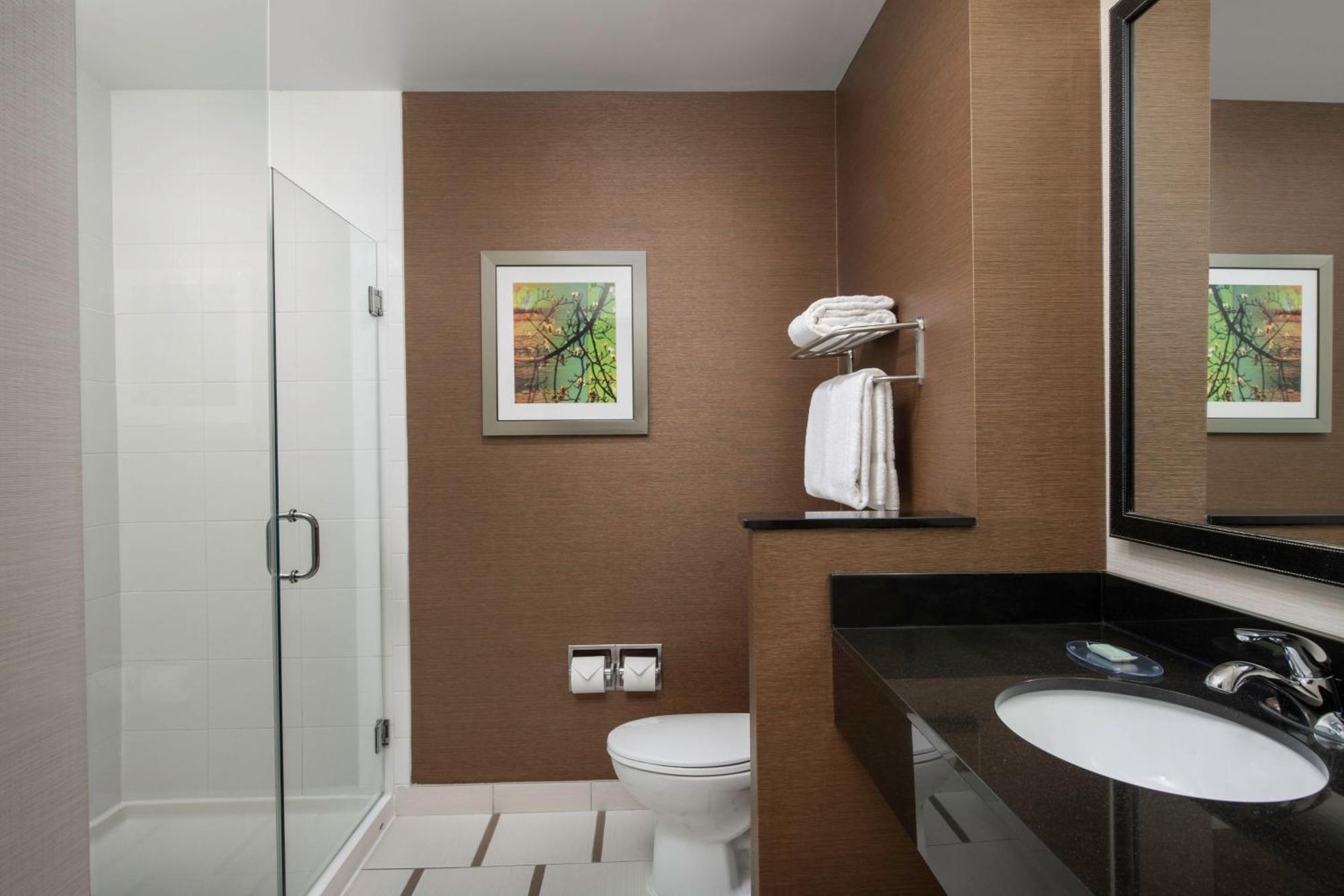 King Room Transfer Shower Mobility Access or Hearing Accessible