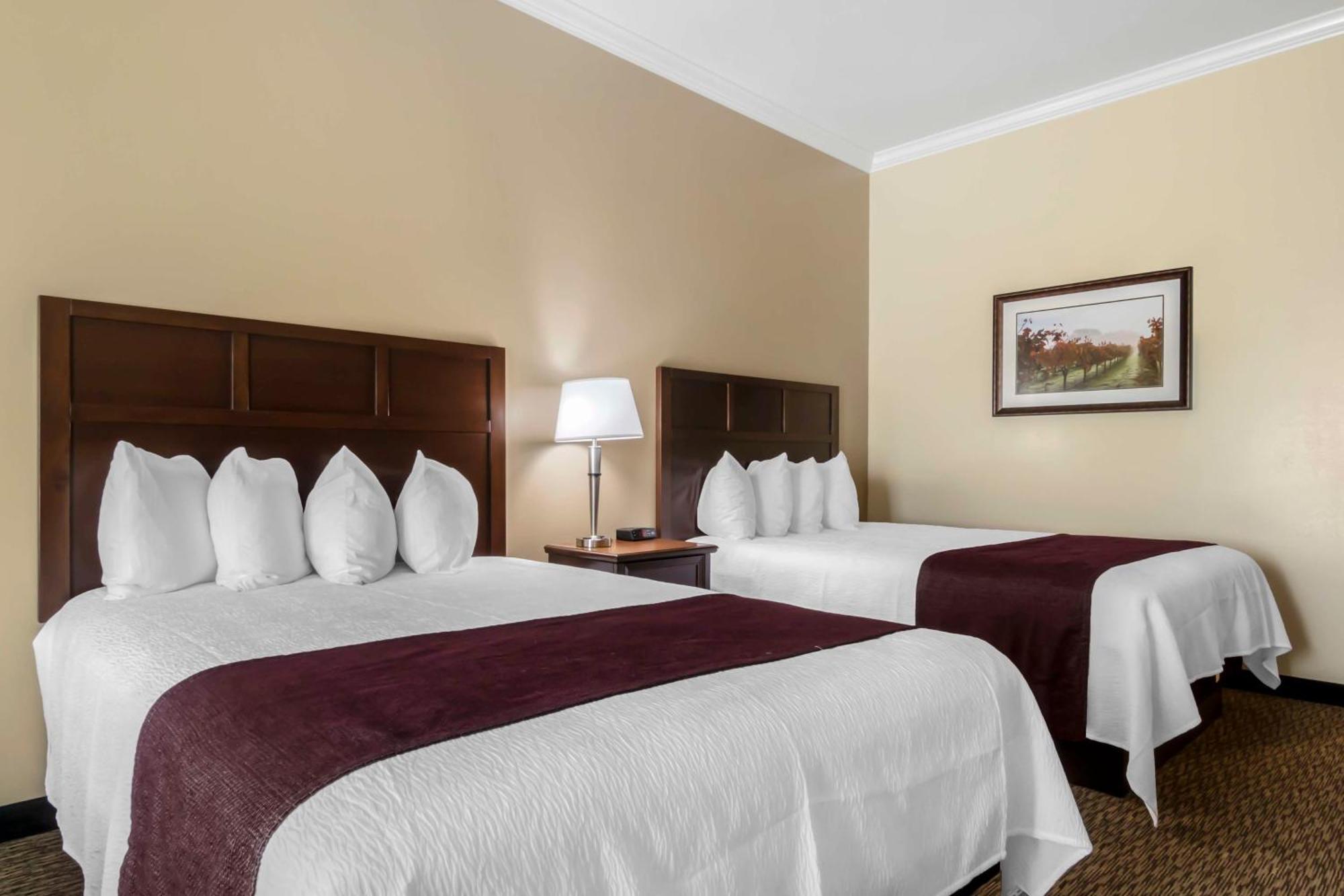 Queen Room with Two Queen Beds with Sofa and Vineyard View
