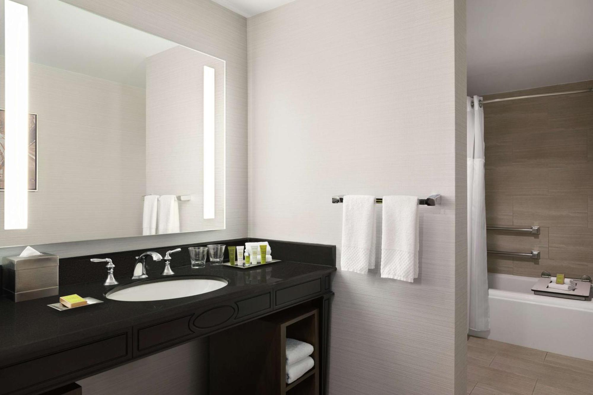 King Room Bath Tub Mobility Access