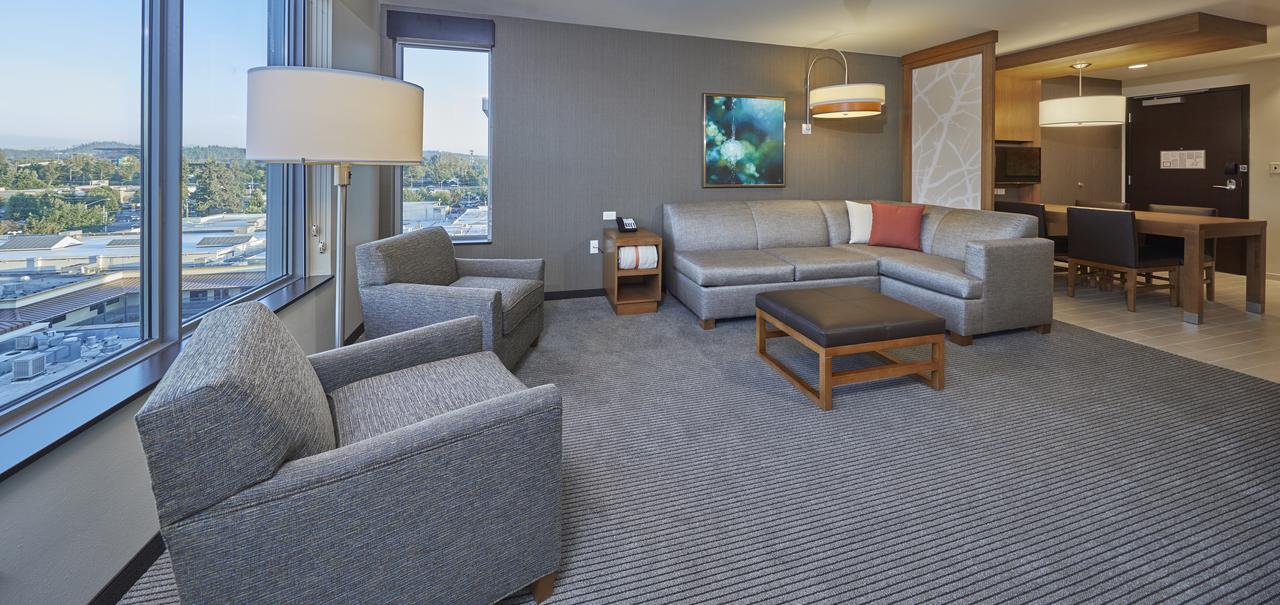 King Suite Sofa Bed Roll Shower Disability Access