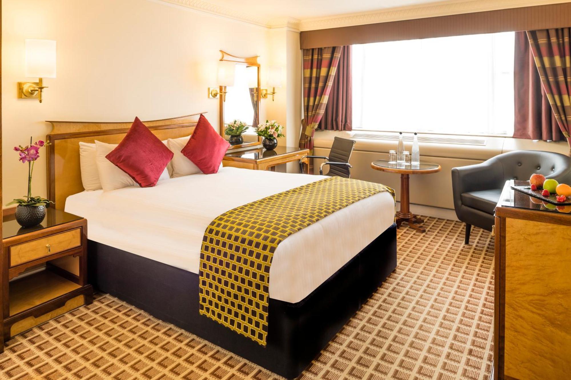 Club Double Room,973673830:JPEG