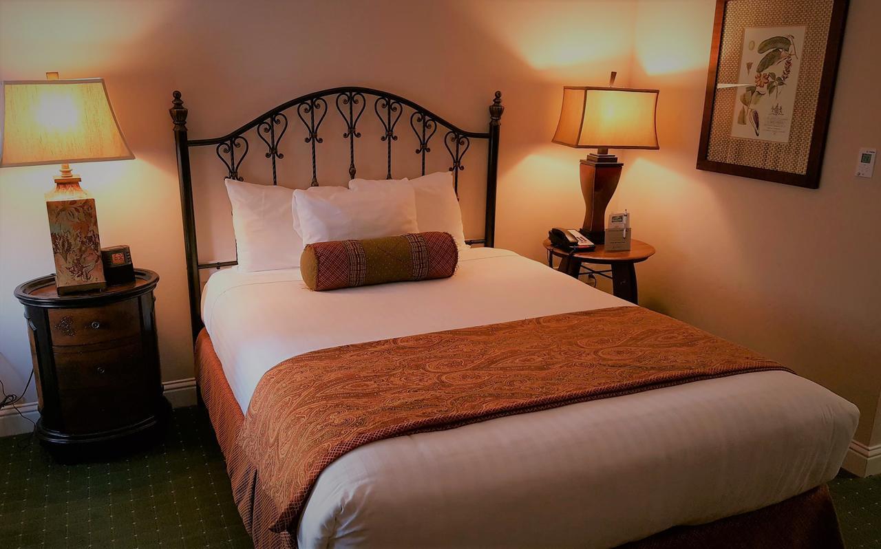 Deluxe Kamer met Queensize Bed