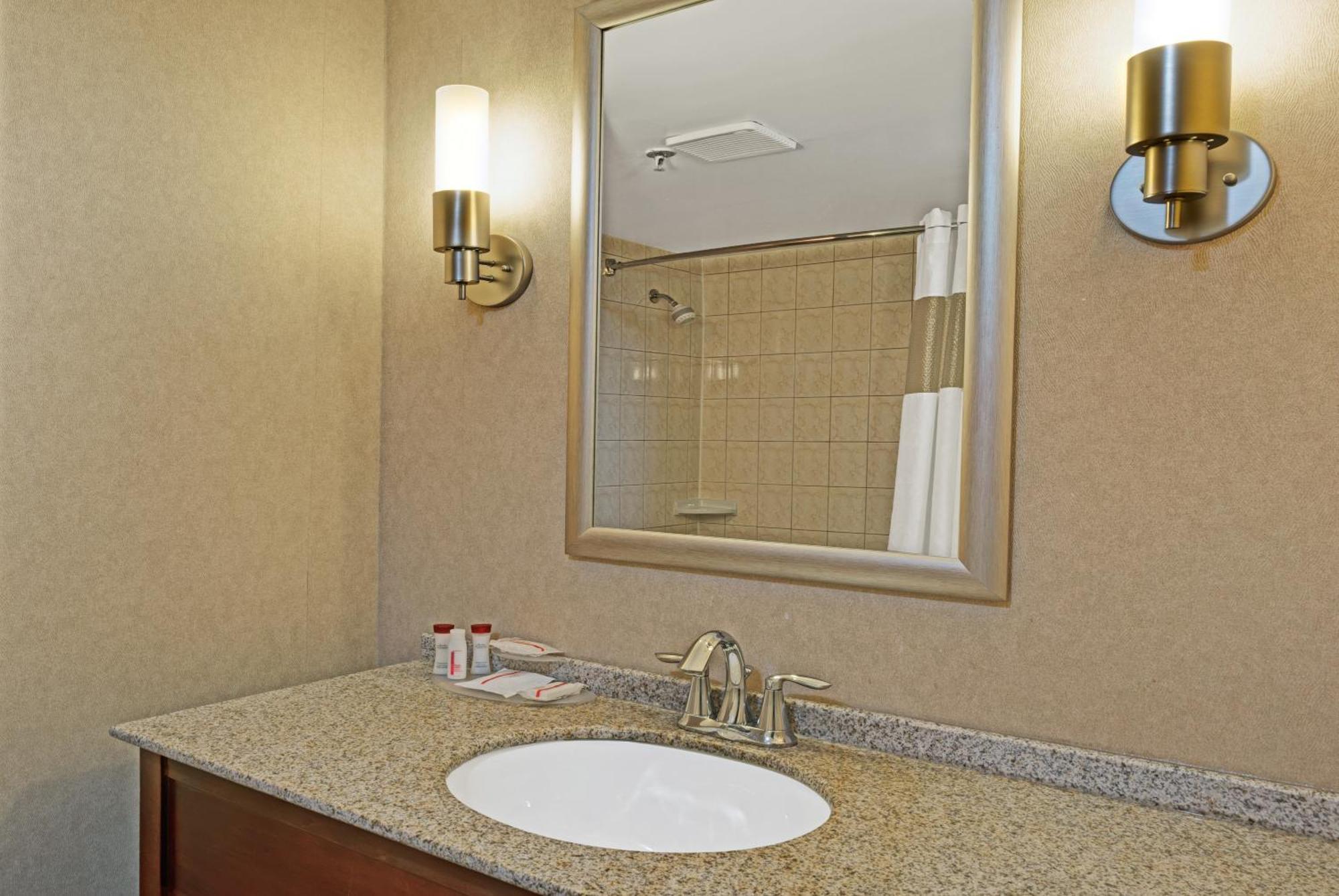 Suite Deluxe con cama extragrande para no fumadores