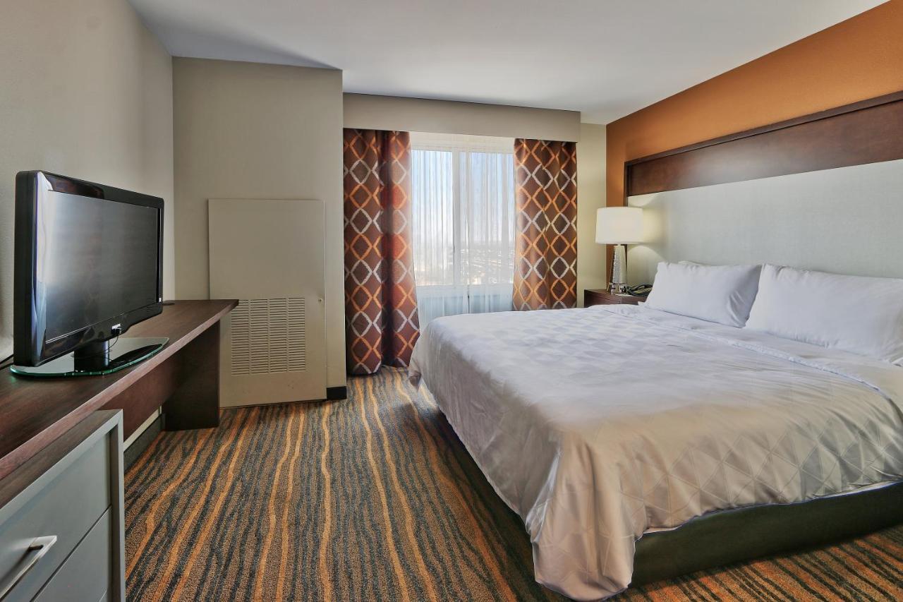 Suite mit Kingsize-Bett