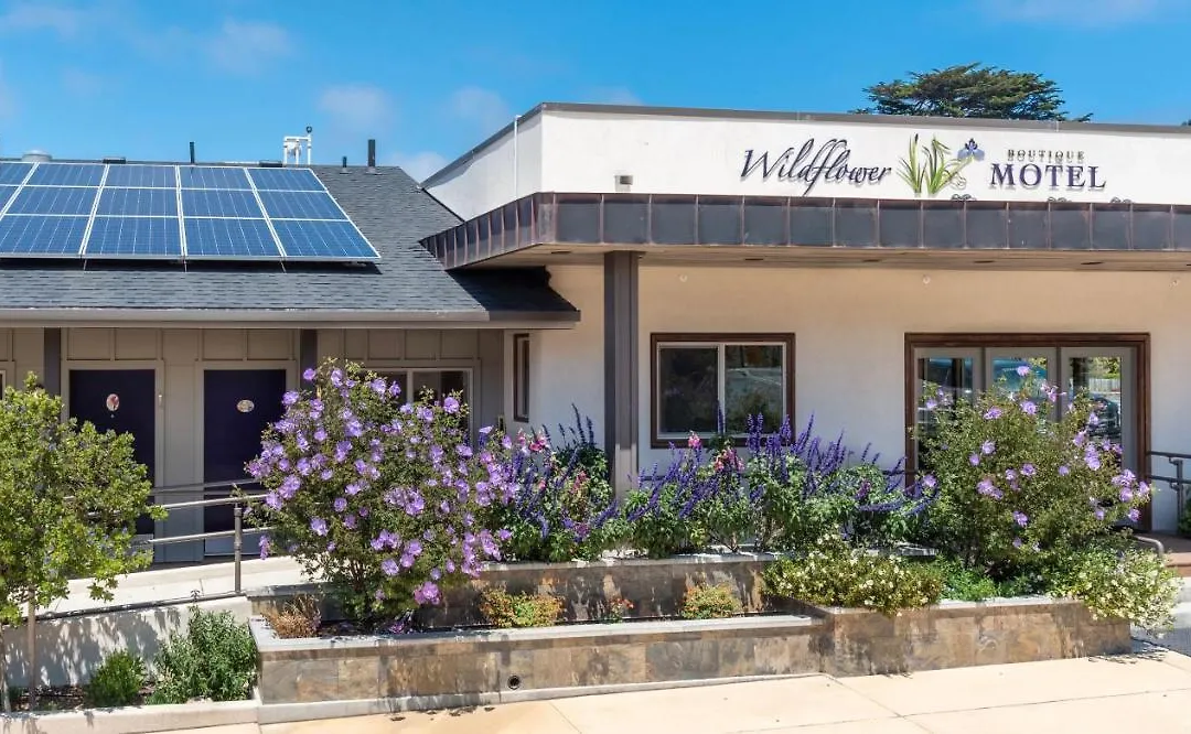 Wildflower Boutique Motel-1
