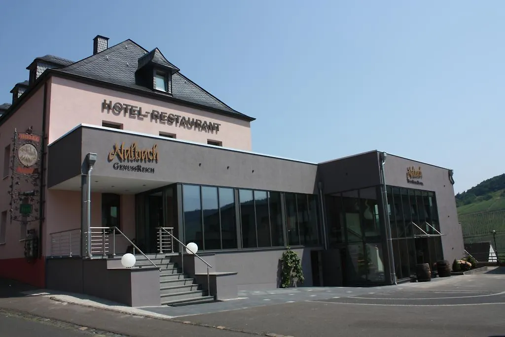 WeinBergHotel Nalbach-1