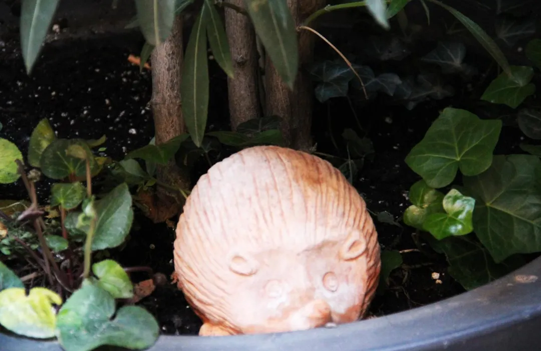 Albergo Al Viale-1