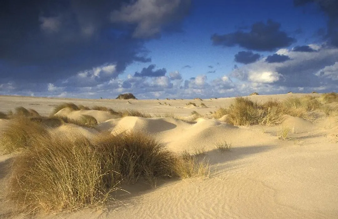 Ara Dune Hotel-1