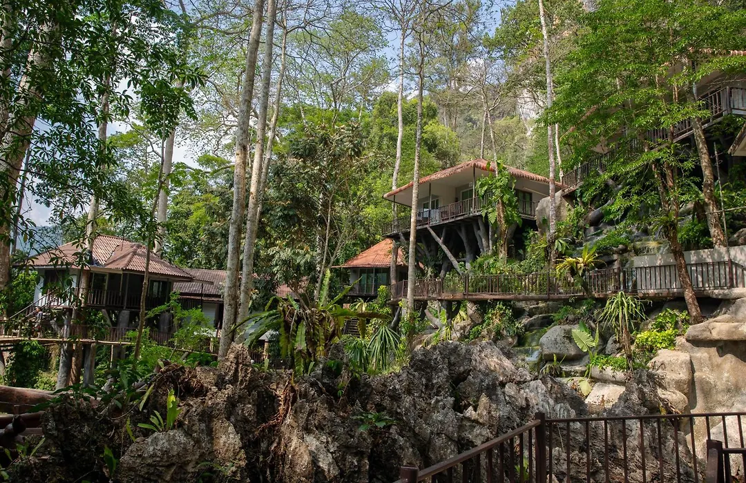 Rock And Tree House Resort-1