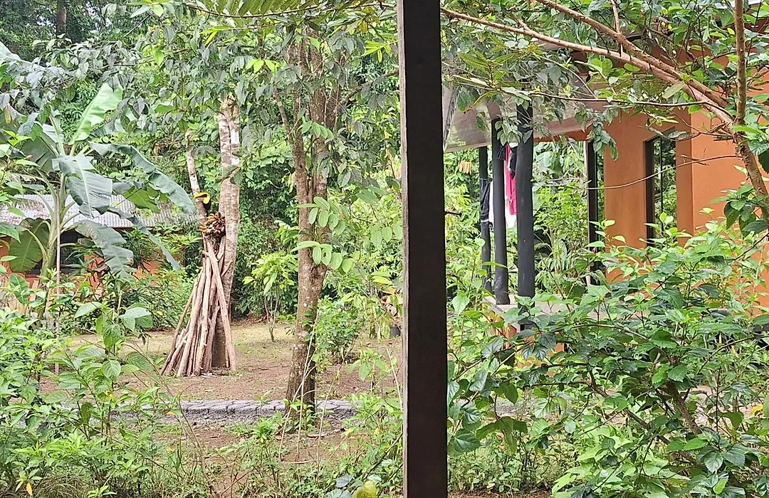 Cabinas Corcovado Green Parrot, Los Planes Drake-1