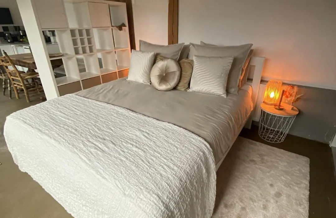 B&B / Studio De Rozeboom-1
