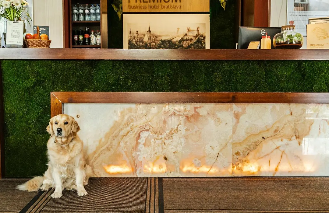 Premium Business Hotel Bratislava-1