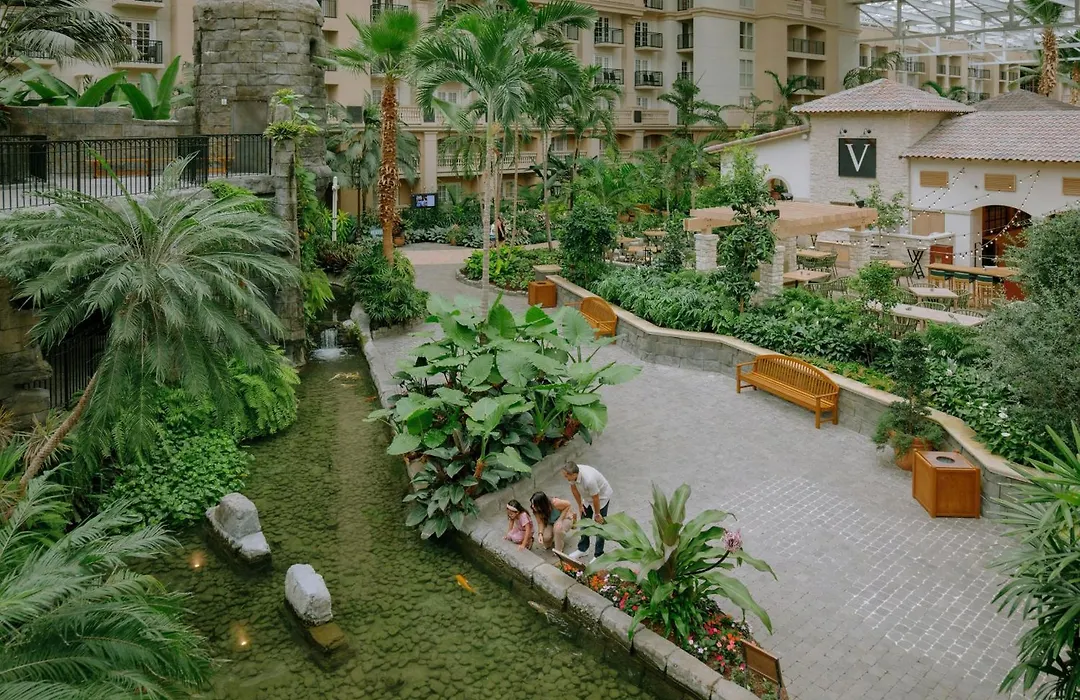 Gaylord Palms Resort & Convention Center-1