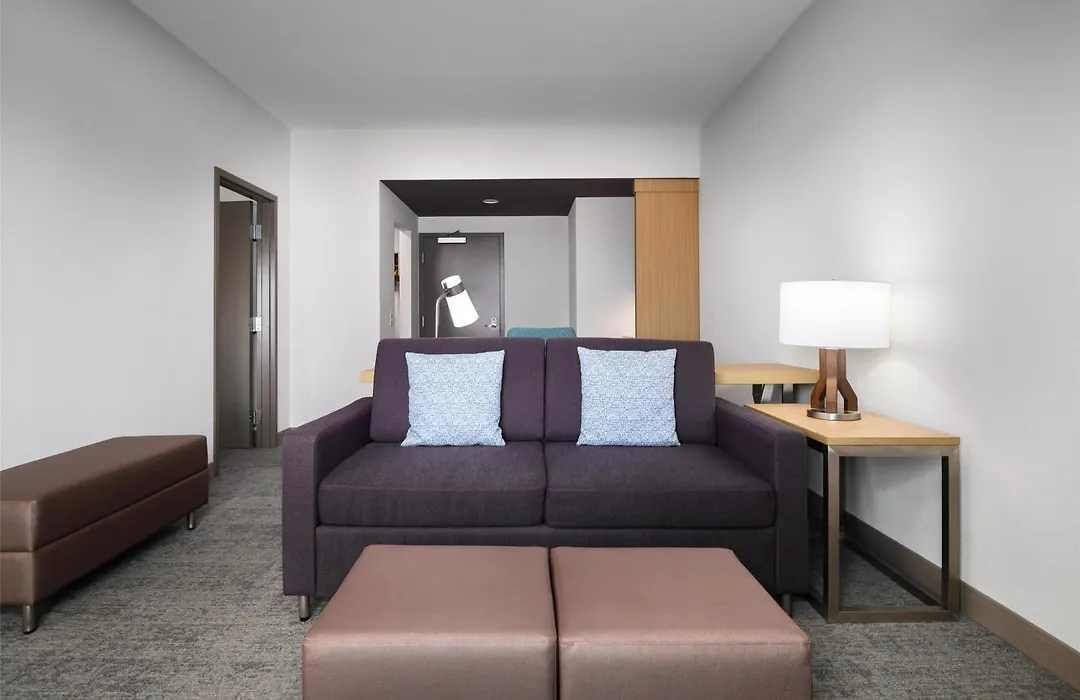 Hilton Garden Inn Orlando I-4 Millenia Blvd Mall-1
