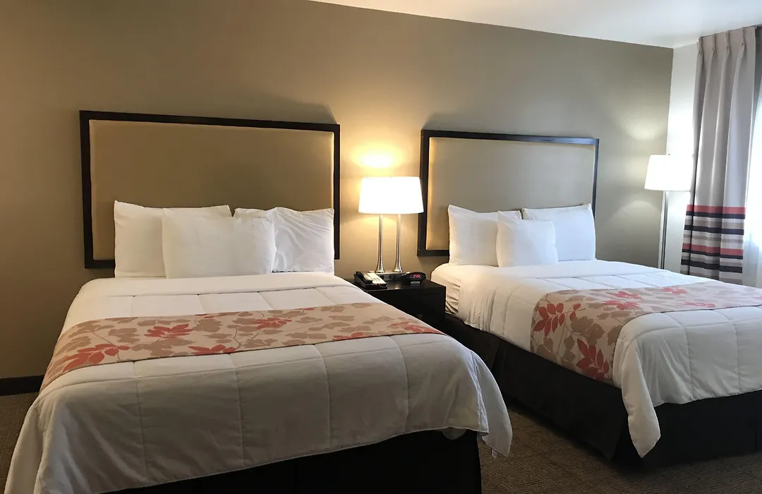 Hawthorn Suites-1