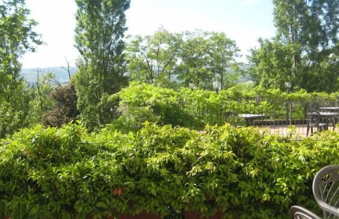 Hotel Villa Lauri-1