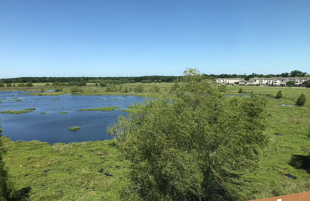 Candlewood Suites Houma By Ihg-1