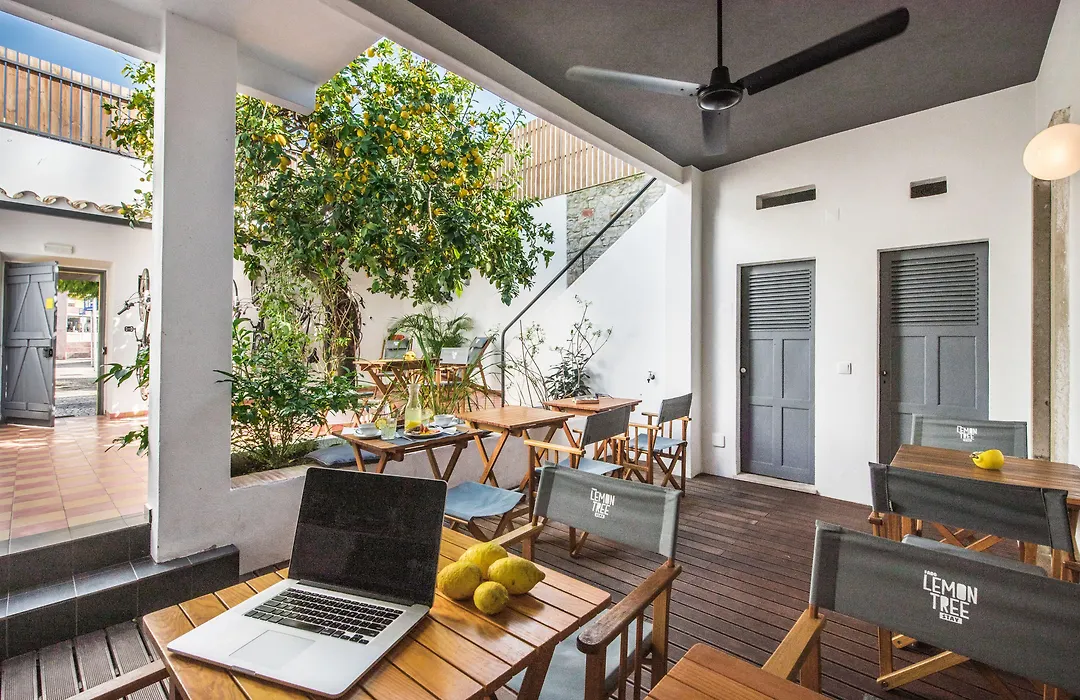 Lemon Tree Stay-1