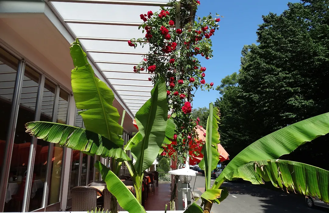 Hotel Excelsior-1