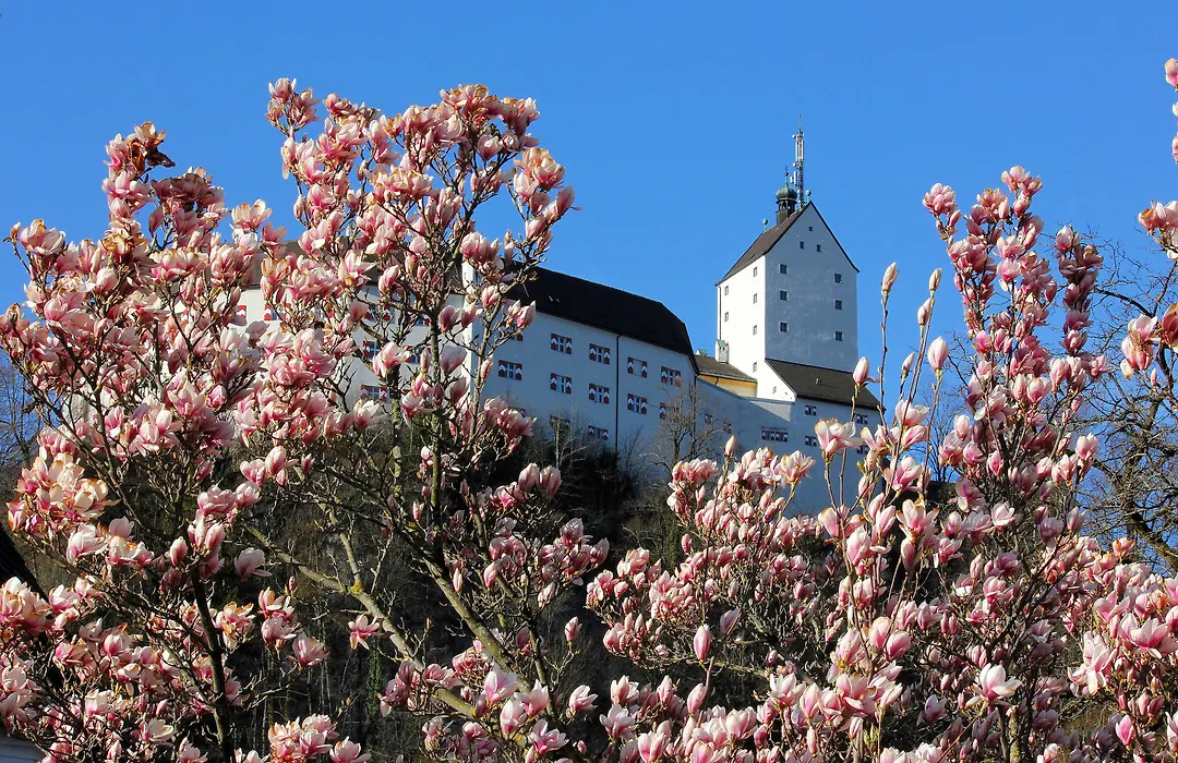 Hotel Hohenaschau-1