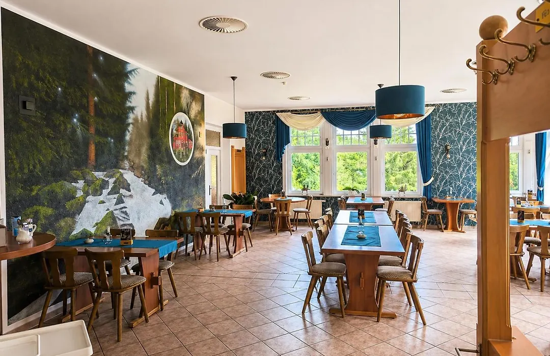 Hotel Steinerne Renne Garni-1