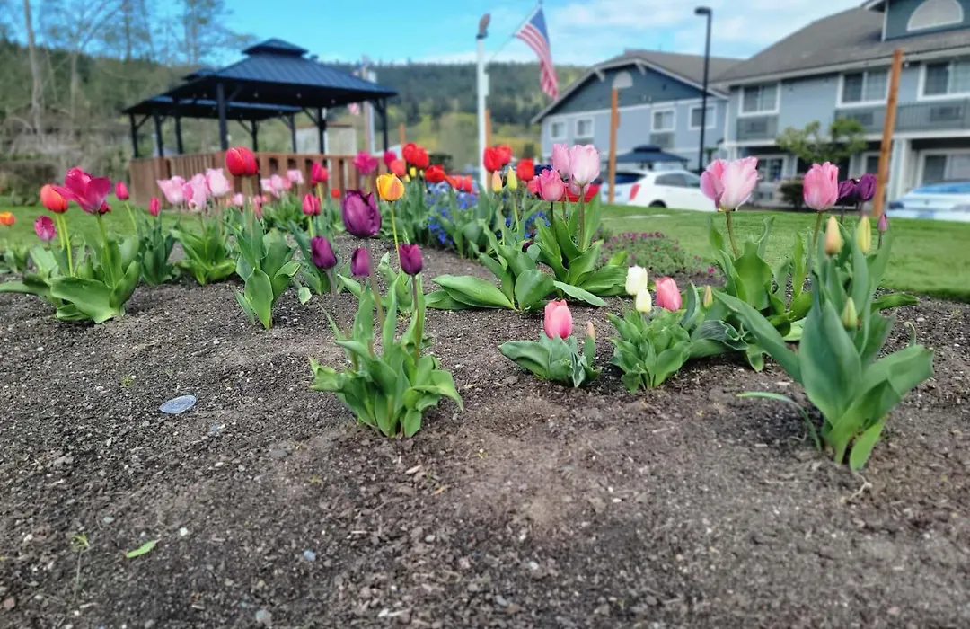 Fidalgo Country Inn-1