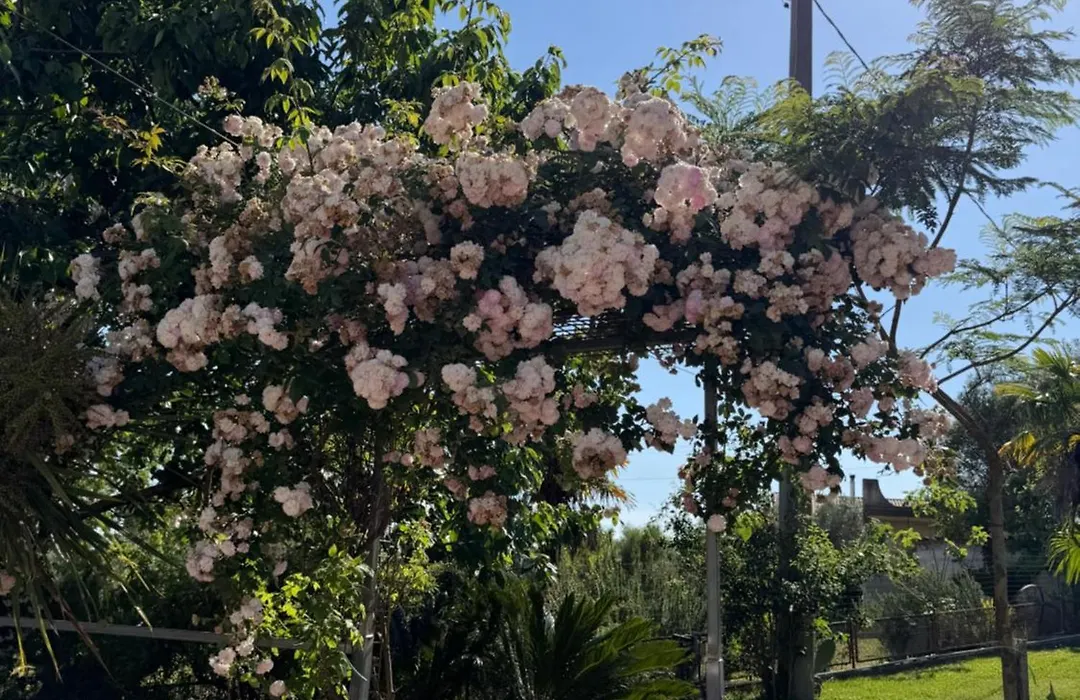 A Casa di nonna Emilia-1