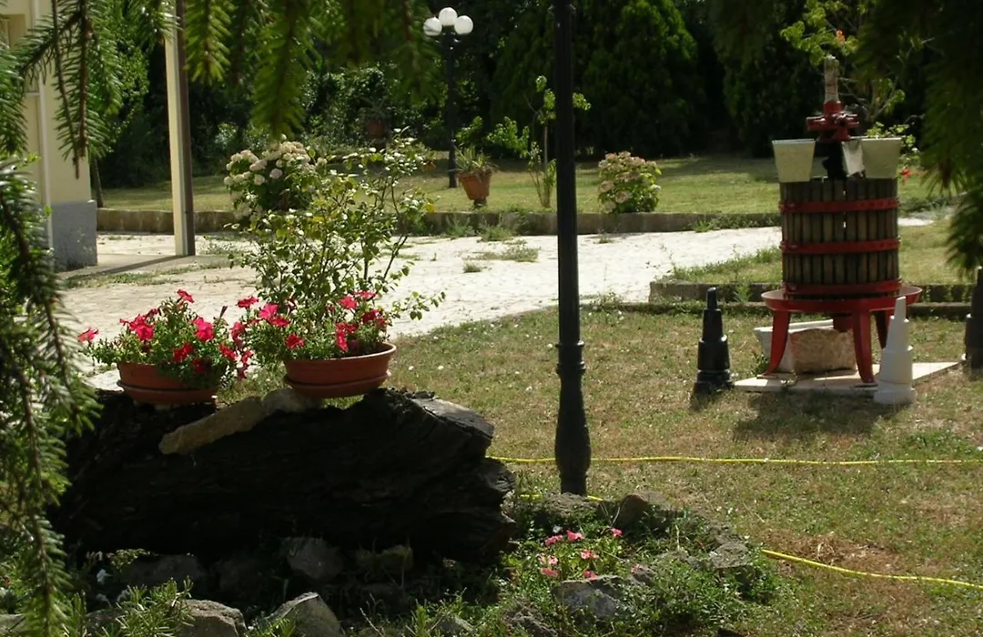 Guest house Il Nido-1