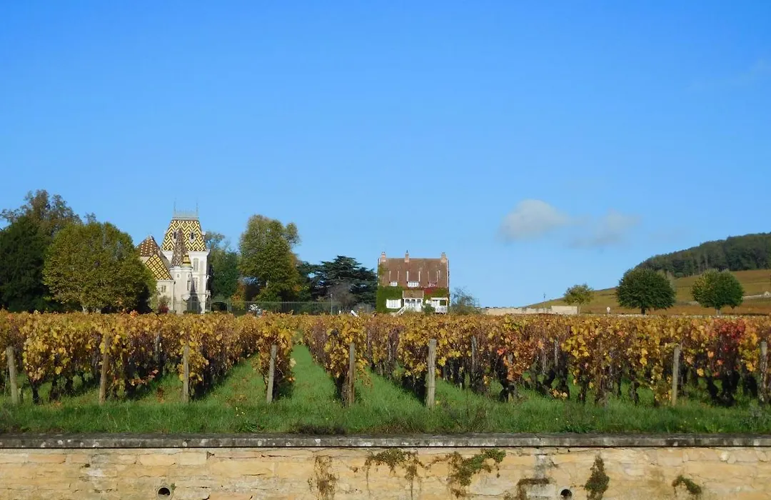 La Passerelle des Corton B&B-1