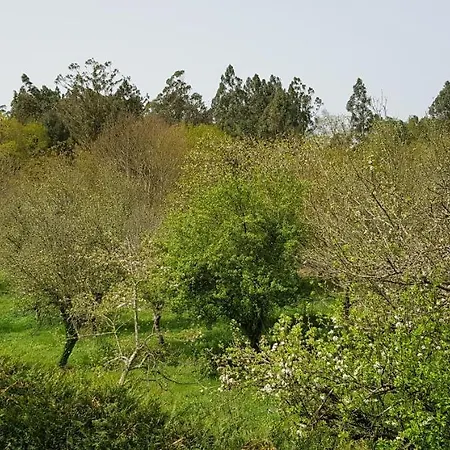 Pensión LO-2
