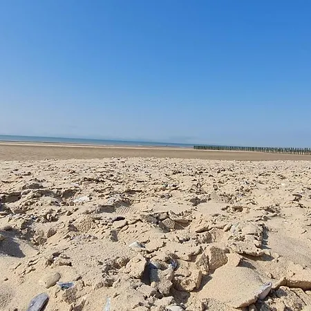 Ô de mer - à 20m de la plage-3
