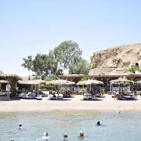 Sunshine Divers Club - Il Porto-2