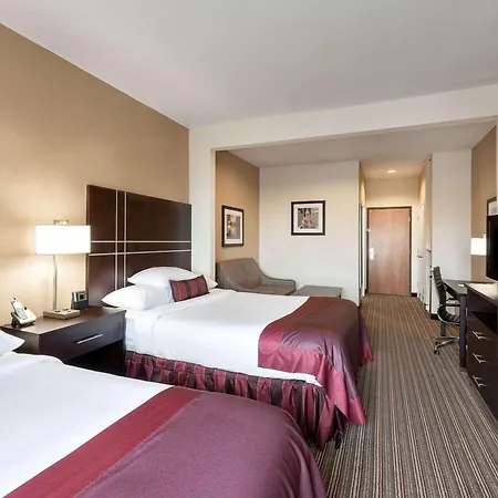 Wingate By Wyndham Houston / Willowbrook-3
