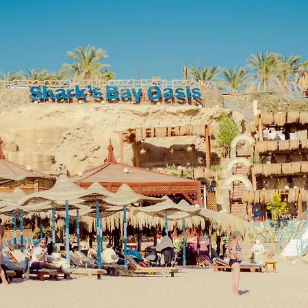 Sharks Bay Oasis Aqua Park Resort-3