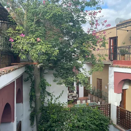 Riad Tafilag-2