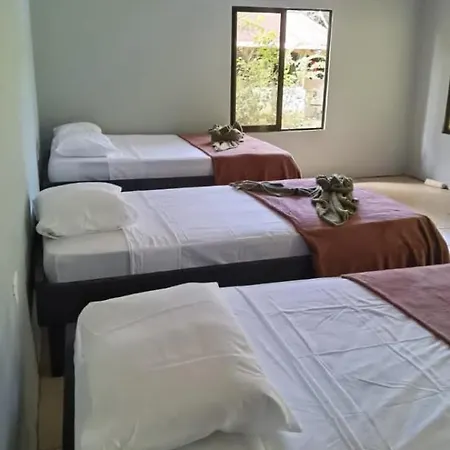 Cabinas Corcovado Green Parrot, Los Planes Drake-2