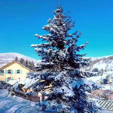 Les Sapins-3