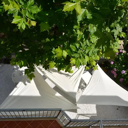 Petit Hotel-2