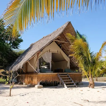 Le Pirate Island - Adults Only-3