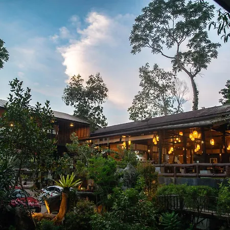 Rock And Tree House Resort-2